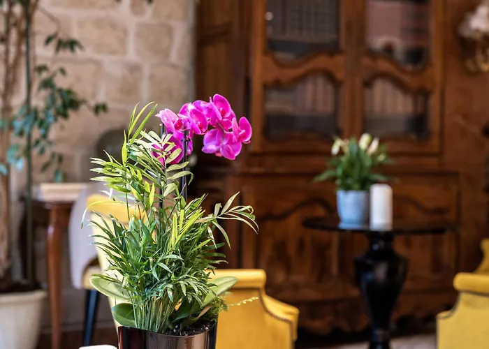 Hotel Minerve Paris